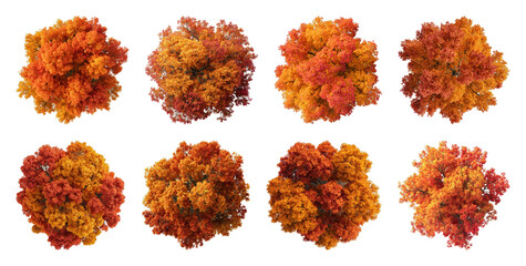 Obraz premium PNG Vibrant autumn trees in various shades of orange and red on transparent background