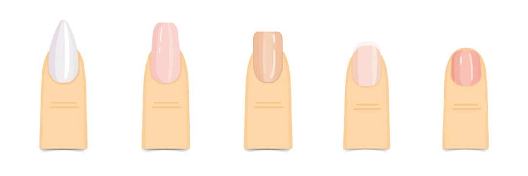 Nail art design with different finger nail polish colors on transparent background