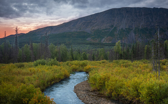 Alaska Hurricane Train wilderness travel landscape with river, mountain, birch and pine trees on a cloudy morning