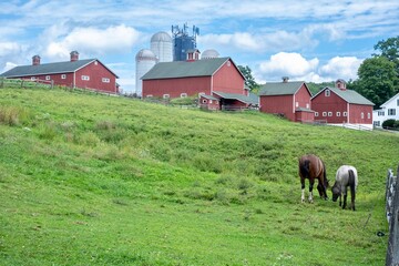 Horses grazing on a grassy hill in front of red farm barns © Maxwell