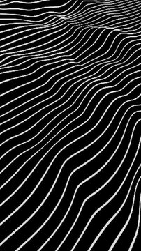 Abstract Black and White Wavy Lines Animated Background Video