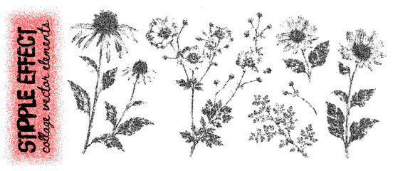 Naklejka premium Wildflower stipple collection, distressed botanical stems, leaves and blossoms with rough photocopy sandy grain. Monochrome floral elements for collage, posters and printmaking. Vector illustration