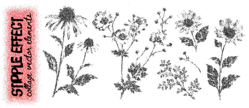 Wildflower stipple collection, distressed botanical stems, leaves and blossoms with rough photocopy sandy grain. Monochrome floral elements for collage, posters and printmaking. Vector illustration