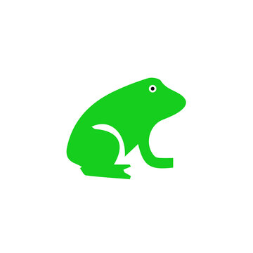 green frog on white background