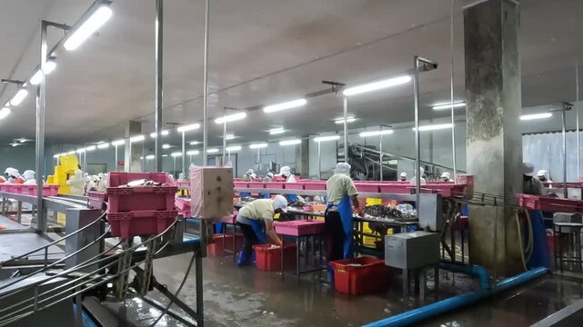 Workers sort vegetables in a large facility during the day