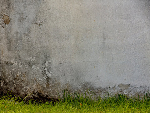 Feuchte und verschmutzte Hauswand