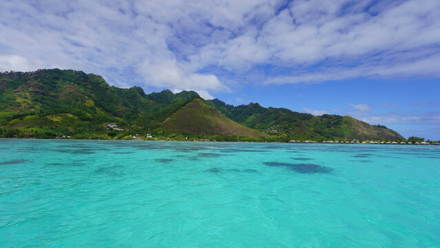 A sweeping panoramic landscape of the vibrant turquoise lagoon in Moorea, French Polynesia, showcasing the contrast between the shallow reef waters and towering tropical green peaks