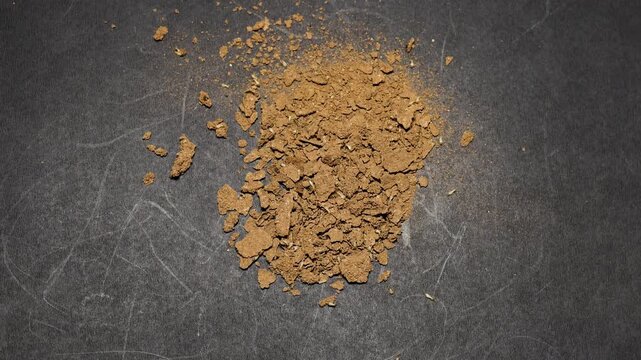 Termite crawling on termite Frass and Wood Debris Scattered on Dark Surface