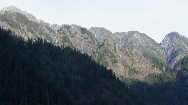 Dramatic Himalayan Mountain Range Rising Above a Dense Green Forest Landscape