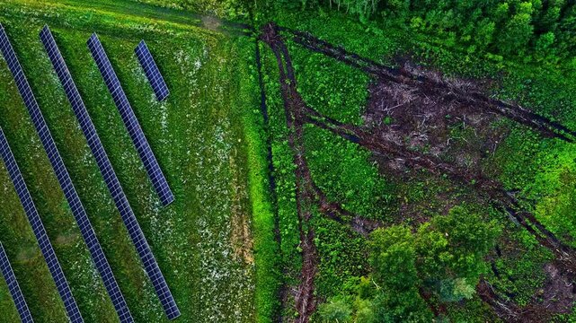 Contrasting view of renewable solar energy panels and a patch of destroyed woodland from above