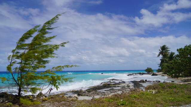 A scenic daytime view of PK9 Beach in Fakarava, French Polynesia, featuring a native tree blowing in the wind next to a turquoise ocean lagoon and an exposed coral reef