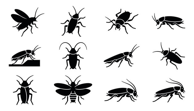 Set of black silhouette icons of cockroaches in different poses and angles