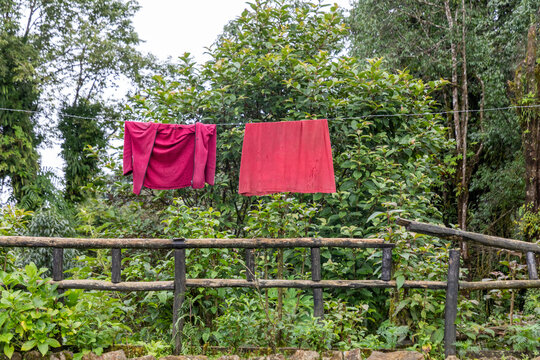 View of red clothes hanging on a line above a wooden fence with lush green forest foliage in the background in Pokhara, Gandaki Province, Nepal.