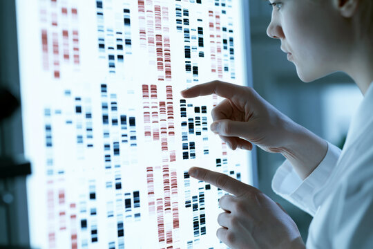 Examining chromosome karyotype under illuminated display
