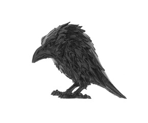 Obraz premium Halloween black raven isolated on white background