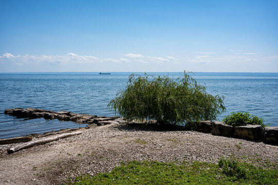 View of Paletta Lakefront Park in Burlington.