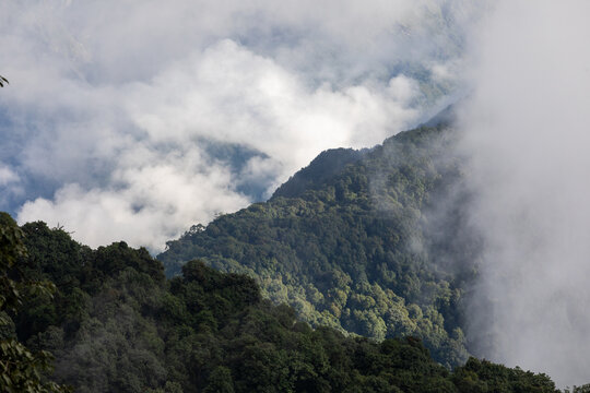 View of the lush forested slopes and mountain ridges along the Mardi Himal Trek, partially obscured by thick rolling clouds in the Himalayas Pokhara, Gandaki Province, Nepal.