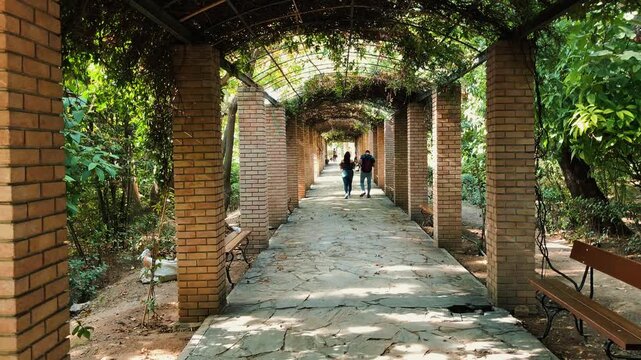 A couple walks away down a scenic stone pathway shaded by a lush green brick pergola trellis surrounded by vibrant trees and plants in a sunny public park.

