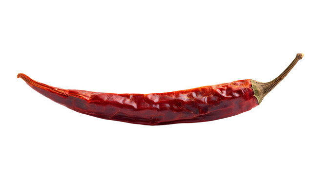 Whole dried red chili pepper spice with wrinkled skin and curved stem isolated on transparent background, food ingredient in Prague, Czechia