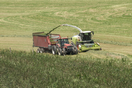 Forage Harvester Filling Grain Cart in Green Farm Field During Silage Harvest