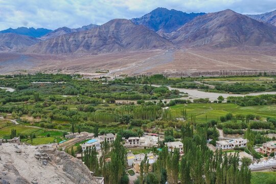 Green Indus Valley and arid Himalayan mountains in Ladakh, India