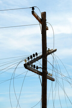 Broken Power Lines Cables Falling from Power Pole with Blue Sky and Clouds in Background Emergency Power Outage or Bad Phone Lines