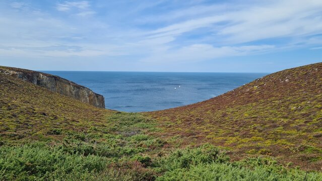 Magnifique paysage de landes de bruy&egrave;re et de mer d'huile le long de la c&ocirc;te bretonne (Cap de la Ch&egrave;vre, presqu'&icirc;le de Crozon, Finist&egrave;re, Bretagne)