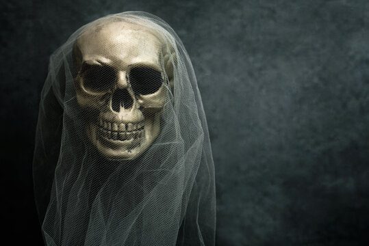Closeup of scary evil skeleton skull with copy space for text. Halloween concept background
