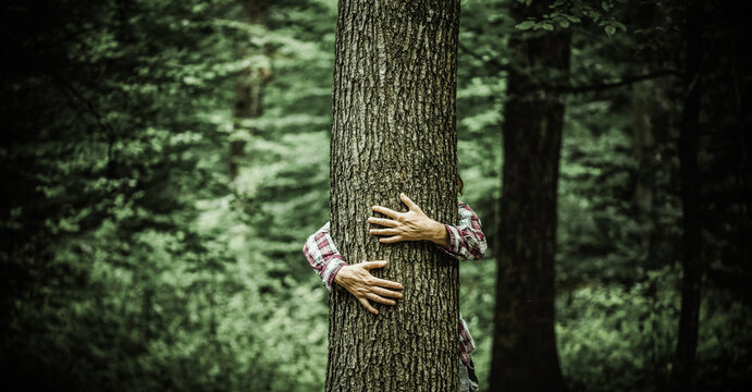 woman hand embracing a tree in green forest - nature loving, fight global warming, save planet earth