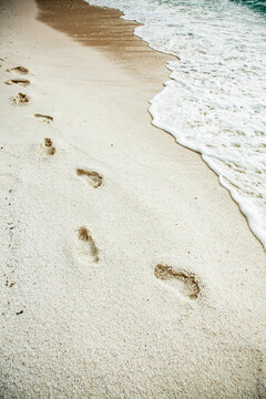 tropical beach with white sand