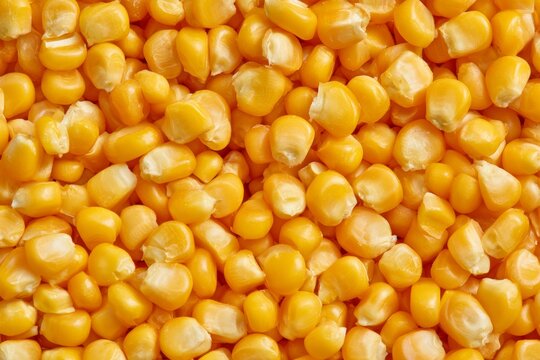 Fresh corn kernels on display in a market setting during daytime