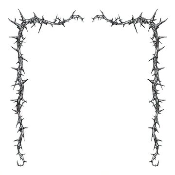 Strands of sharp barbed wire forming a frame shape on white background
