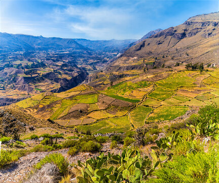 A view down over agricultural terraces in the valley of the Colca Canyon in the Andes of Peru in the morning