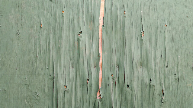 Weathered green plywood texture showing peeling paint, worn surface, and exposed wood creating a grungy, distressed background with decaying details