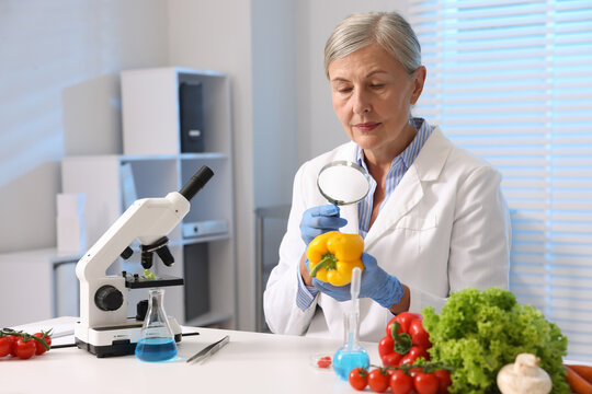Quality control. Scientist in gloves examining bell pepper with magnifying glass at white table with microscope, samples and products in laboratory