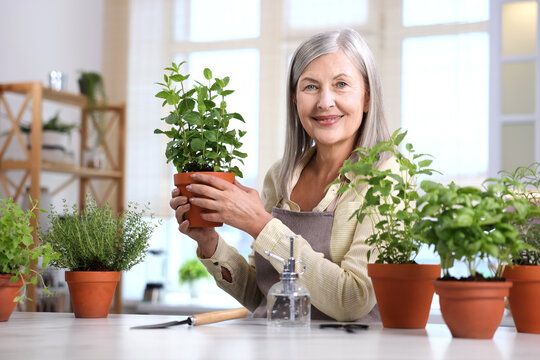 Portrait of smiling woman at light marble table with different potted herbs in kitchen
