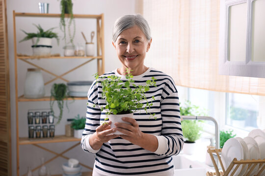 Portrait of smiling woman with potted herb in kitchen