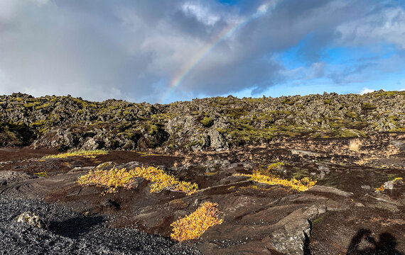 View of a rugged lava field covered in moss with a faint rainbow stretching across the cloudy sky in Grindavik, Grindavikurbaer, Iceland.