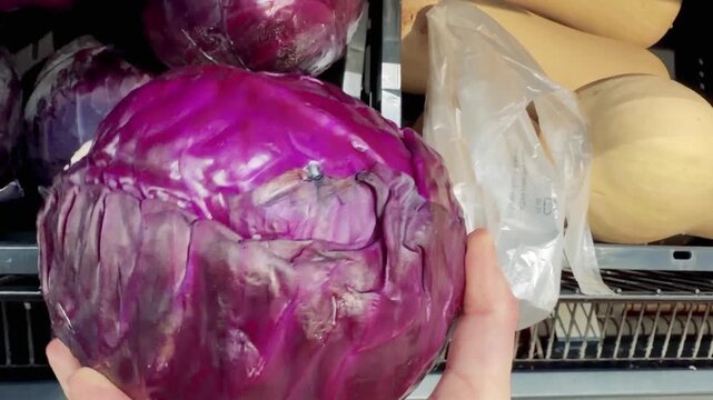 Hand Picking a Red Cabbage in a Supermarket Vegetable Aisle