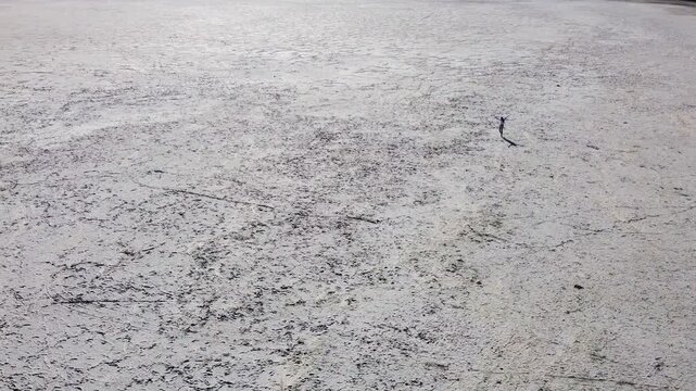 Lone figure traverses vast, cracked earth under bright sunlight, casting a long shadow. Long shadow across cracked earth.