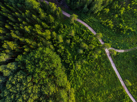 Aerial view of a winding dirt trail cutting through dense, vibrant green forest. . Private land, solid financial asset. Potential profit and return on invested funds. Healthy green area