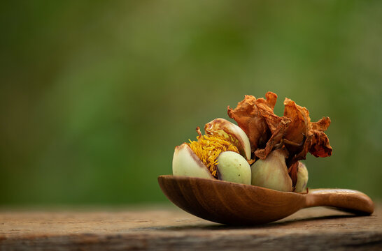 The pollen of the indian rose chestnut flower is key ingredient in traditional Thai herbal medicine on natural background.