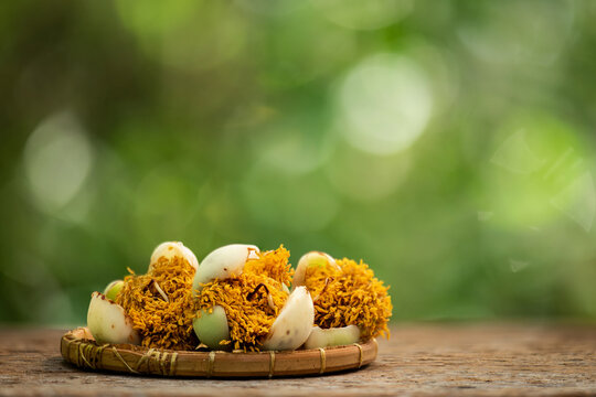 The pollen of the indian rose chestnut flower is key ingredient in traditional Thai herbal medicine on natural background.