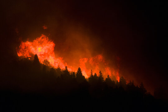 View of a forest fire burning on a hillside at night with bright orange flames illuminating the dark silhouettes of trees in Omis, Split-Dalmatia County, Croatia.