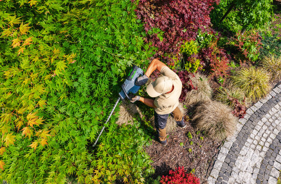 Aerial view of a gardener using a hedge trimmer among shrubs