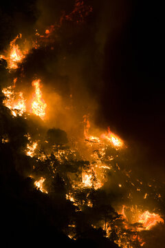 View of an intense wildfire burning on a hillside at night with bright orange flames consuming trees and thick smoke rising into the dark sky in Omis, Split-Dalmatia County, Croatia.