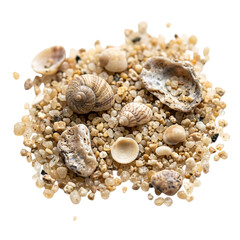 Obraz premium Close up of sand grains and seashells with seashells scattered together on transparent background