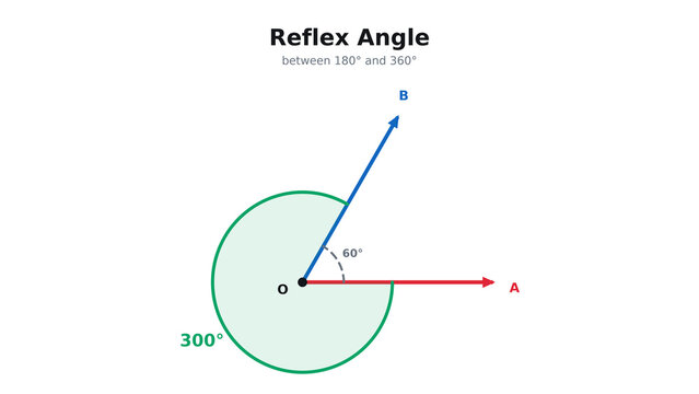 Reflex Angle Diagram Showing 300 Degrees Measured Outside the Rays