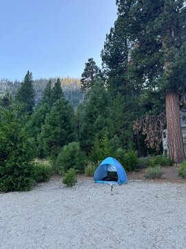 Pop-up blue sun shelter tent set up on a sandy beach surrounded by tall green pine trees and mountain ridge under a clear blue sky.