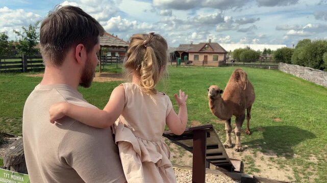 Father and young daughter feed a camel through a metal chute at an animal park, family bonding, zoo visit, wildlife interaction.
